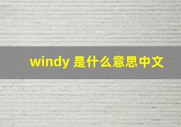 windy 是什么意思中文